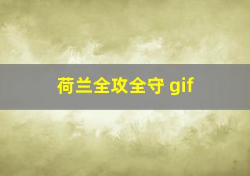 荷兰全攻全守 gif